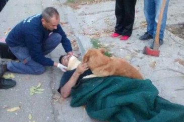 Dünyanın en sadık dostları köpekler
