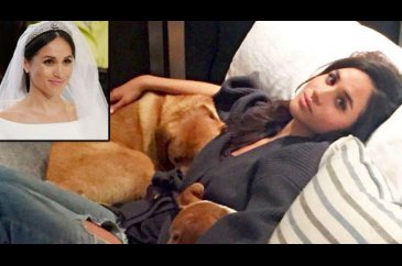 Meghan Markle'ın köpeğinin göz yaşartan hikayesi
