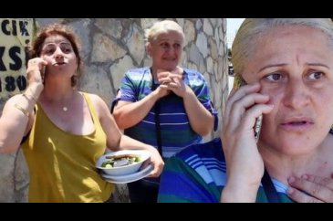 Bodrum'da domuz sürüsü paniği