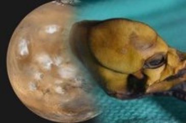 NASA'dan her şeyi değiştirecek açıklama! Büyük gün geldi mi