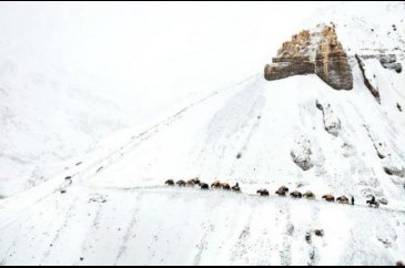 Medeniyetin uğramadığı yerde büyüleyici bir yaşam tarzı!
