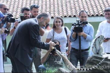 Bursa Hayvanat Bahçesi'nin yeni misafirleri görücüye çıktı