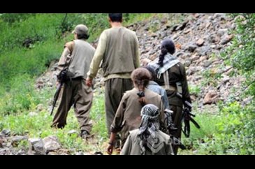 Terör örgütü PKK, köşeye sıkıştı