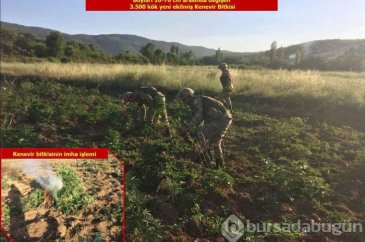 Diyarbakır'da terör örgütü PKK'ya yönelik düzenlenen operasyonda ço...
