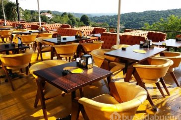 Kafe hayvanat bahçesi çıktı! İşte bilinmeyen görseller