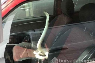 Dünyanın en korkunç anları
