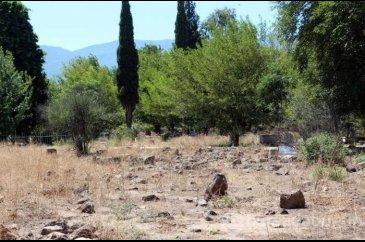 Hatay'da Kayı Boyu sembolü olan mezar taşları bulundu
