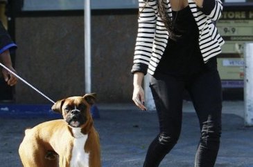 Kim Kardashian köpeğine estetik yaptırdı
