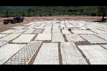 Antalya'da tarlalar halı açtı (Antalya'nın halı tarlaları)