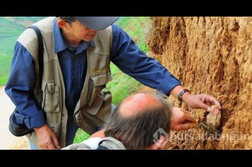 Çin'deki arkeolojik kazı doğrulanırsa tarih yenilenecek
