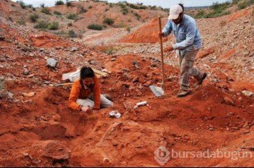 200 milyon yıllık dev dinozor fosili bulundu