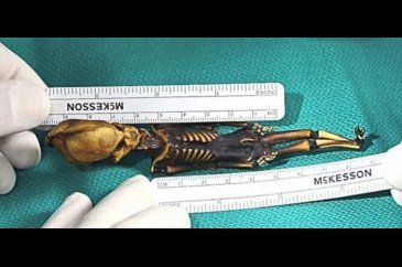 Uzaylı olduğu iddia edilen mumyanın sırrı çözüldü