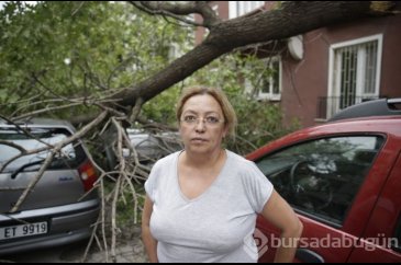Ankara'da şiddetli rüzgar ağaçları devirdi