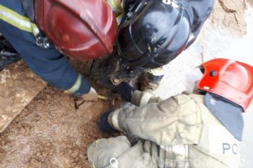 Çıkanlar şok etti