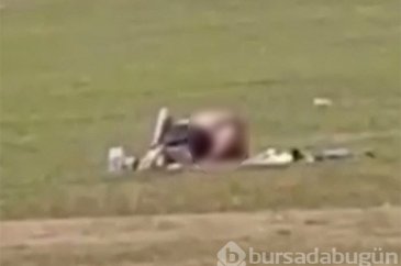 Parkta ilişkiye girdiler!
