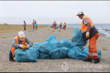 Van Gölü'nde martı ölümleri