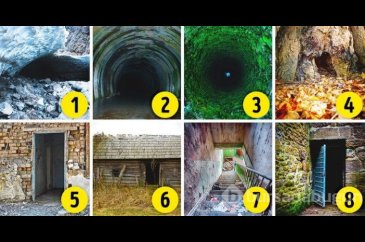 Hangisi seni daha çok korkutuyor? (Kişilik testi)