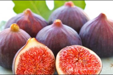 Kutsal kitabımızda adı geçen 12 yiyecek ve faydaları