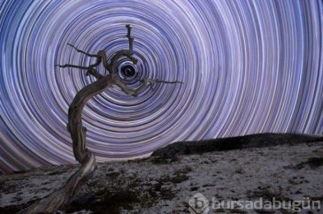 Yılın astronomi fotoğrafçısı 