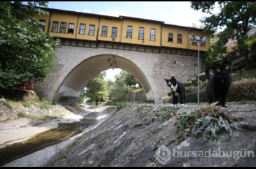 Bursa'nın 576 yıllık sanat köprüsü: Irgandı
