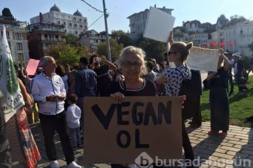 Büyükada'da fayton protestosu

