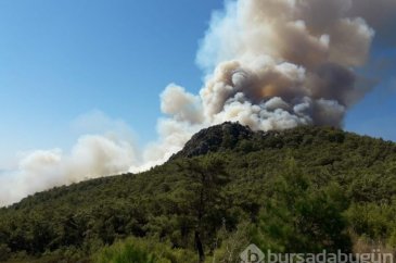 Antalya'da orman yangını