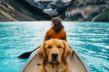 Sosyal medyanın yeni fenomeni: Gezgin köpek Aspen
