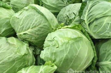 Kanseri azaltan sebzeler nelerdir?
