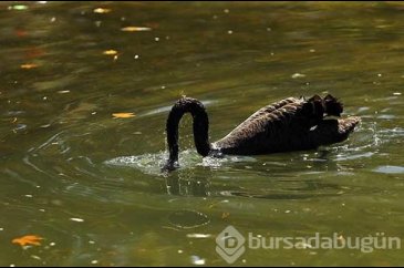 AKUT ve AFAD seferber olmuştu! Bu kez o ilde görüntülendi
