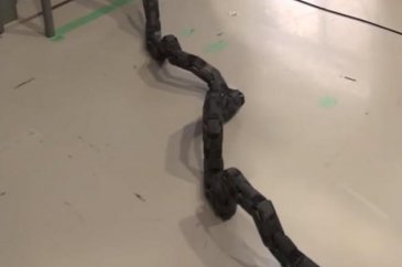 Katil robotlardan merdivenden tırmansanız da kaçamayacaksınız!
