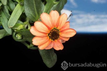 Günün en çok paylaşılan fotoğrafları (26.10.2018)