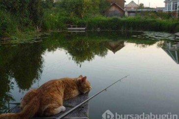 Günün en çok paylaşılan fotoğrafları (31.10.2018)
