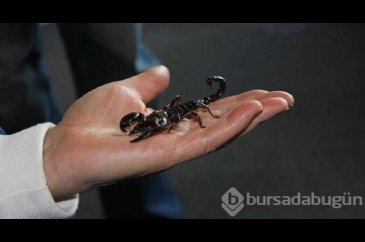 Türk askeri için üretilecek!
