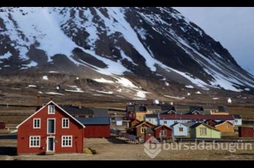 Ölmenin yasak olduğu ada Svalbard
