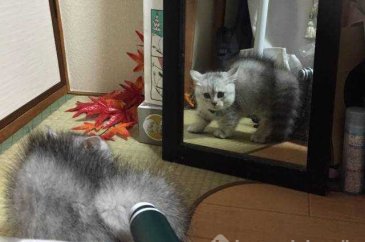 Günün en çok paylaşılan fotoğrafları (14.11.2018)
