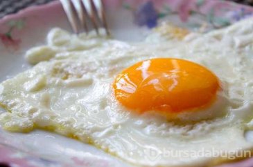 Kas yapan en iyi besinler nelerdir?

