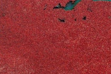 Dünyadan ilginç fotoğraflar
