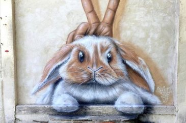 Bir kutu sanat sokaklarda!
