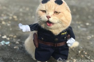 'Balıkçı kedi' bu kez polis oldu