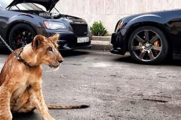 Zenginlerin yeni trendi tartışma konusu oldu