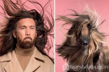 Sahibine benzeyen köpeklerden şaşırtıcı fotoğraflar