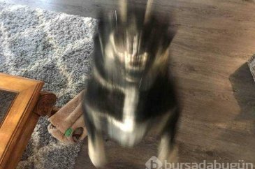 Günün en çok paylaşılan fotoğrafları (23.11.2018)