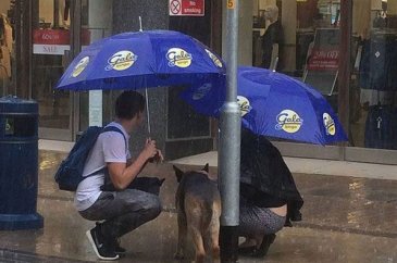 Bu fotoğraflar içinizi ısıtacak
