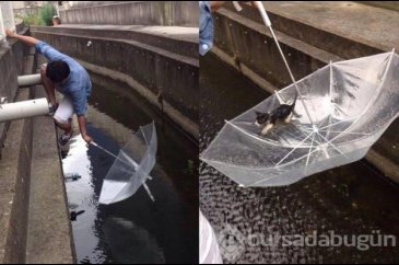 Dünyada iyiliğin varolduğunu kanıtlayan insanlar 2