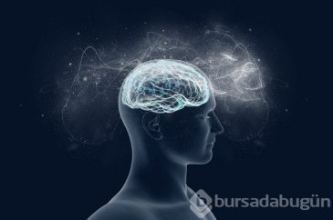 IQ'yu artıran tüyolar!

