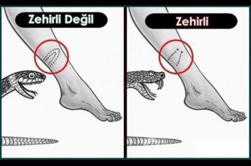 Hayatınızı kolaylaştıracak pratik bilgiler
