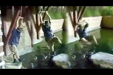 İp koptu, timsah dolu havuza düştü!
