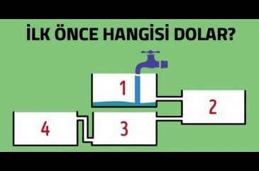 Sosyal medyayı kasıp kavuran zeka testi
