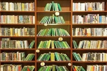 Noel ağaçlarını başka bir seviyeye taşıdılar
