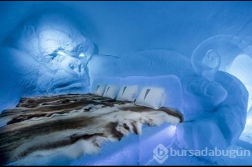 Dünyanın en etkileyici buz otelleri